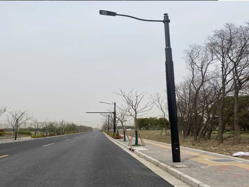 蒙城县上海综合杆 太阳能路灯工程